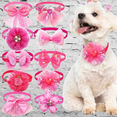 collier chien rose noeud fleur decoratif fille femelle accessoire elegant