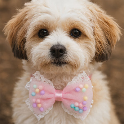 collier chien rose pastel noeud papillon tulle perles multicolores accessoire