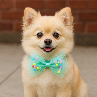 collier chien turquoise menthe noeud papillon perles colorees accessoire joyeux