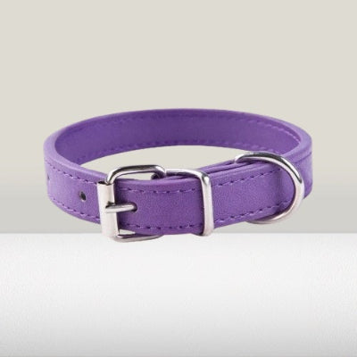 collier chien violet boucle metal couture premium qualite produit studio