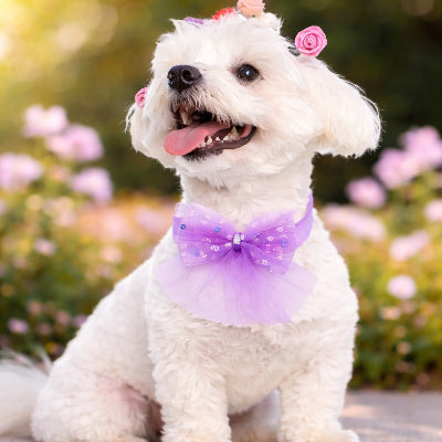 collier chien violet mauve noeud papillon tulle paillettes strass accessoire