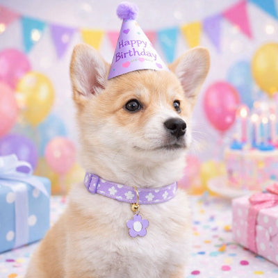 collier chiot violet fleurs blanches corgi anniversaire charm fleur grelot dore