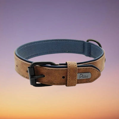 collier cuir chien cafe double boucle ajustable confortable premium qualite