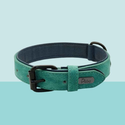collier cuir chien vert turquoise double boucle ajustable elegant premium qualite