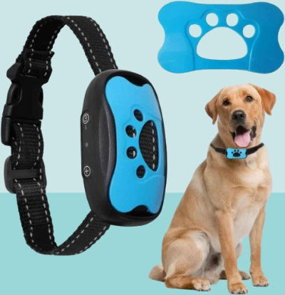 collier de dressage pour chien labrador bleu ciel details produit anti aboiement complet