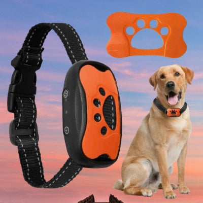 collier de dressage pour chien labrador orange details produit anti aboiement complet accessoires
