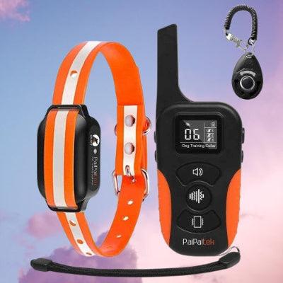 collier dressage chien telecommande rechargeable orange etanche portee longue distance