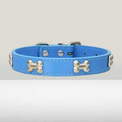 collier en cuir pour chien bleu os metal ajustable petit chien premium