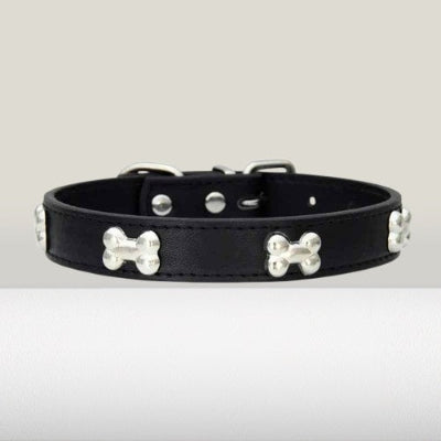 collier en cuir pour chien noir os metal ajustable petit chien premium