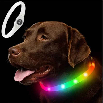 collier lumineux chien labrador chocolat led multicolore arc en ciel nuit securite