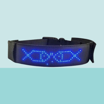 collier lumineux chien led bleu personnalisable motif securite nuit premium qualite