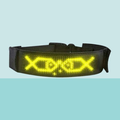 collier lumineux chien led jaune personnalisable texte securite nuit premium qualite