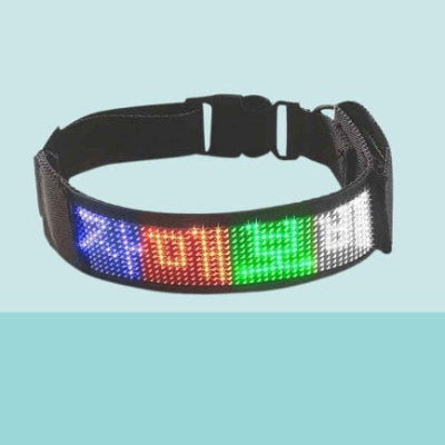 collier lumineux chien led multicolore personnalisable securite nuit premium qualite