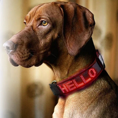collier lumineux chien led personnalise texte rouge grand chien message interieur