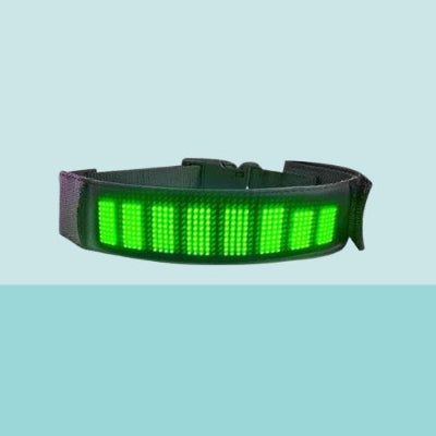 collier lumineux chien led vert personnalisable securite nuit premium qualite
