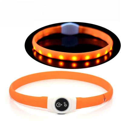 collier lumineux chien orange led usb rechargeable produit seul 