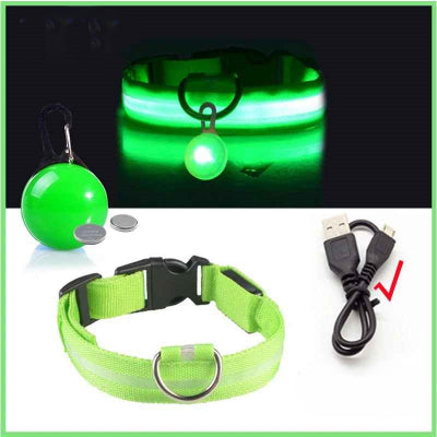 collier lumineux chien vert usb rechargeable led pendentif securite nuit cable inclus
