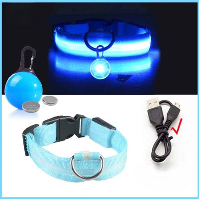 collier lumineux pour chien bleu usb rechargeable led pendentif securite nuit cable inclus