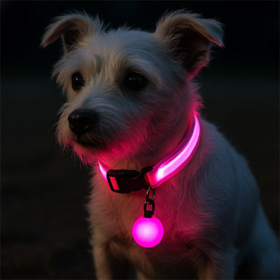 collier lumineux pour chien rose led pendentif lumineux nuit securite visible promenade obscurite