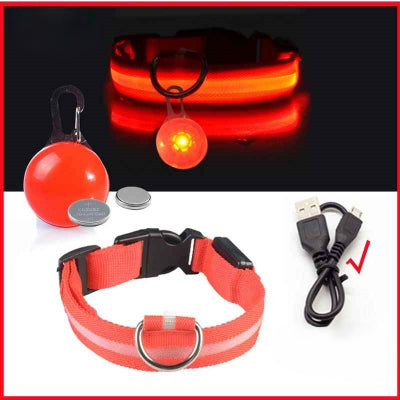 collier lumineux pour chien rouge usb rechargeable led pendentif securite nuit cable inclus
