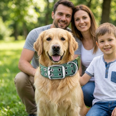 collier molosse chien golden retriever famille vert parc enfant