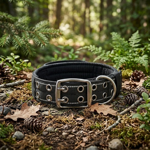 collier molosse chien nylon noir large boucle métal forêt sol