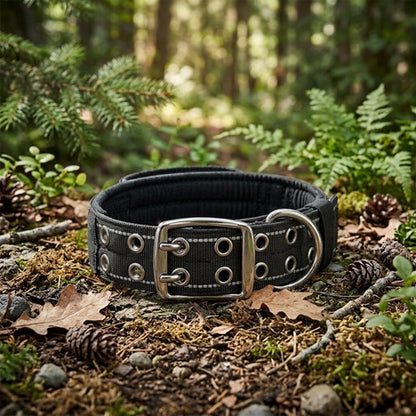 collier molosse chien nylon noir large boucle métal forêt sol