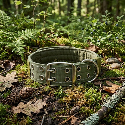collier molosse chien nylon vert militaire large forêt mousse