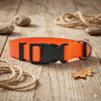 collier orange pour chien nylon boucle bois nature automne