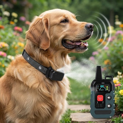 collier pour chien à la citronnelle anti-aboiement télécommande 