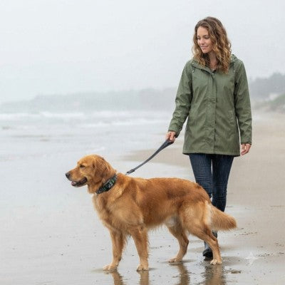 Collier pour chien anti-aboiement Golden Retriever plage pluie laisse femme