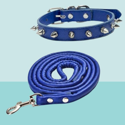 collier pour chien bleu clous argent laisse assortie ensemble complet premium