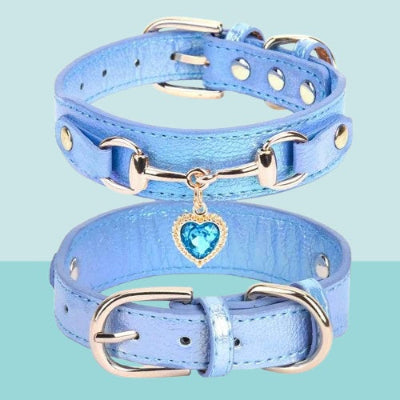 collier pour chien bleu cuir breloque coeur cristal petit chien elegant premium