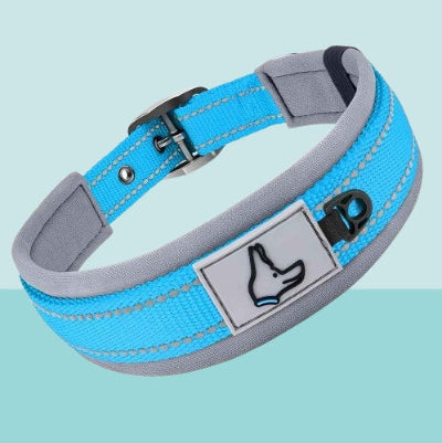 collier pour chien bleu reflechissant neoprene boucle securite confort reglable