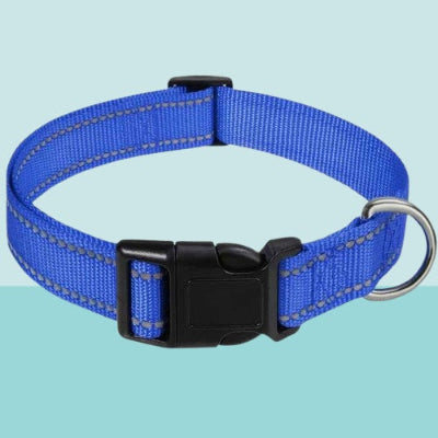 collier pour chien bleu reflechissant nylon boucle plastique noir anneau metal reglable