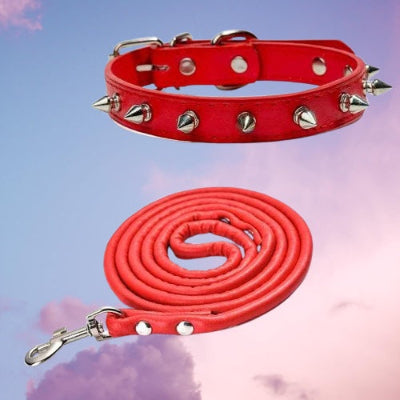 collier-pour-chien-rouge-clous-argent-laisse-assortie-ensemble-complet-premium