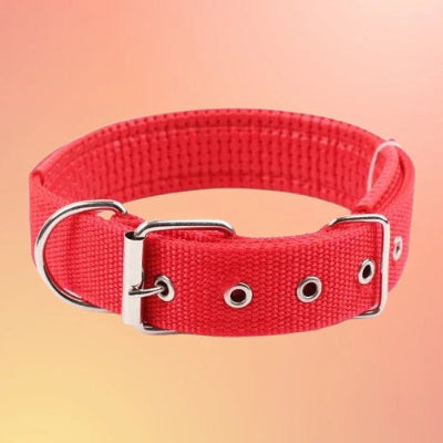 collier pour chien rouge nylon boucle metal oeillets resistant ajustable qualite