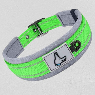 collier pour chien vert fluo reflechissant neoprene boucle securite confort reglable