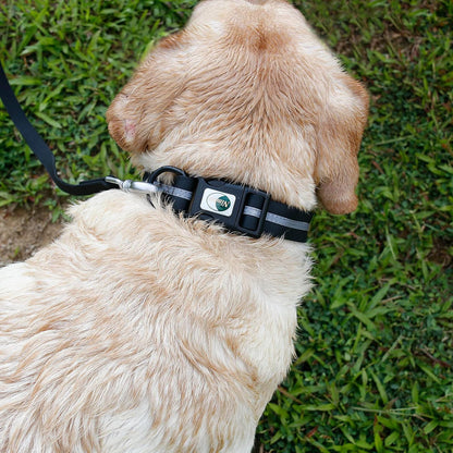 Collier pour Chien - WaterproofDogCollar™ - Noir - Libre & Poilu