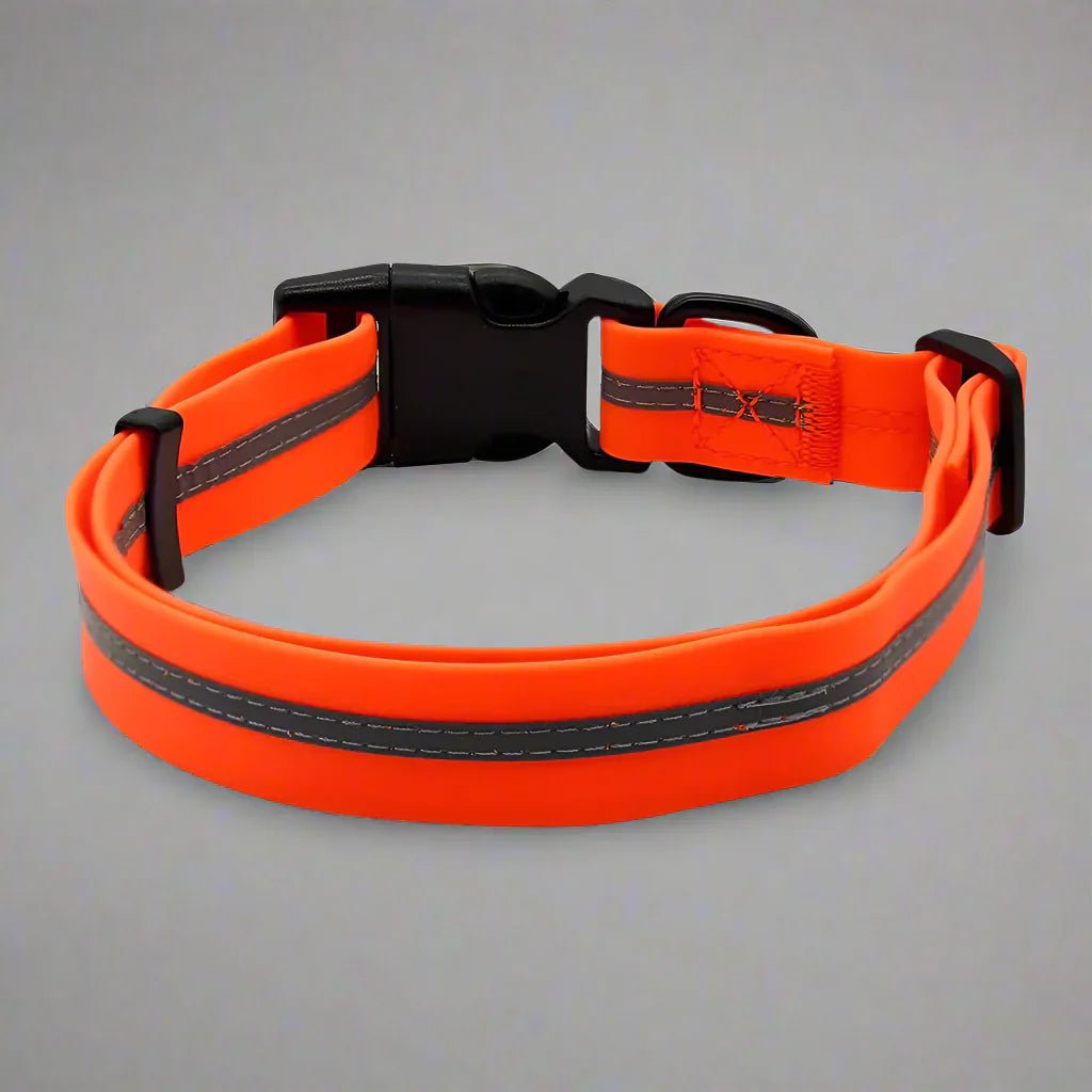 Collier pour Chien - WaterproofDogCollar™ - Orange - Libre & Poilu
