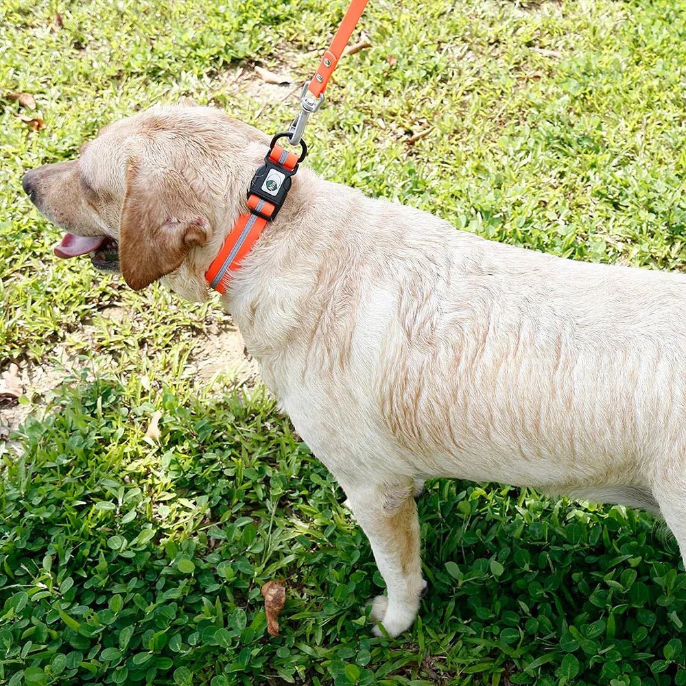 Collier pour Chien - WaterproofDogCollar™ - Orange - Libre & Poilu