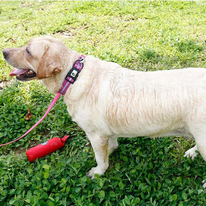 Collier pour Chien - WaterproofDogCollar™ - Violet - Libre & Poilu