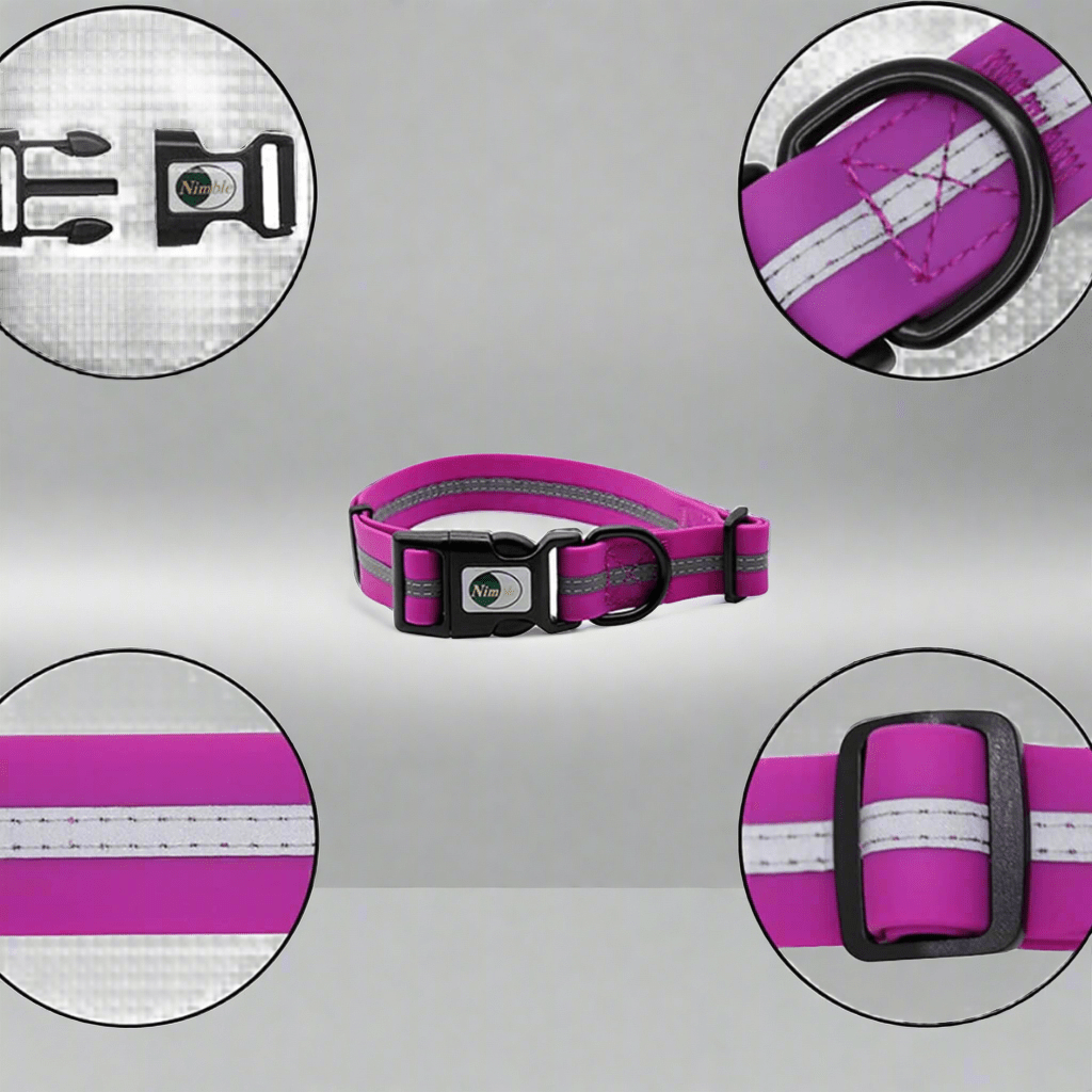 Collier pour Chien - WaterproofDogCollar™ - Violet - Libre & Poilu