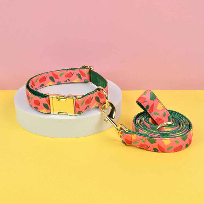 collier pour chiot ajustable motif pasteque boucle doree laisse assortie confort