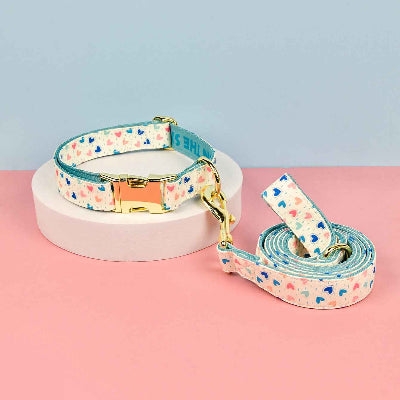 collier pour chiot motif coeurs multicolores boucle doree laisse assortie turquoise