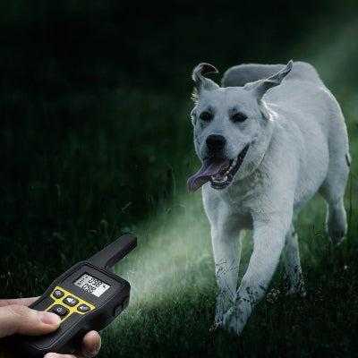 collier pour dressage de chien blanc telecommande rappel exterieur education canine