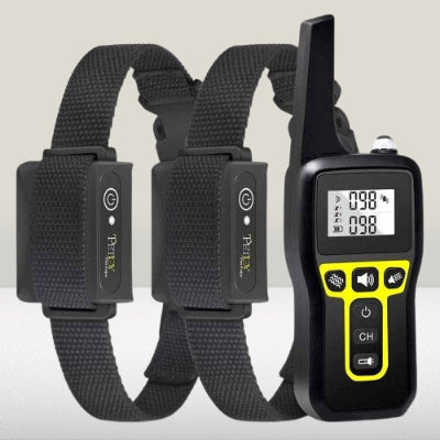 collier pour dressage de chien lot 2 telecommande rechargeable etanche noir