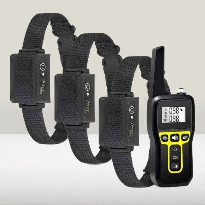 collier pour dressage de chien lot 3 telecommande rechargeable etanche noir