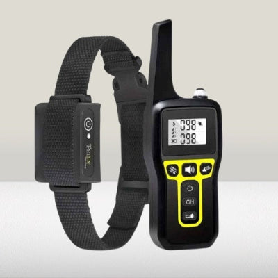 collier pour dressage de chien telecommande rechargeable etanche noir jaune