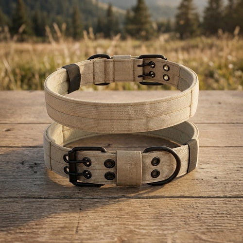 Collier pour gros chien molosse beige à boucle métallique sur bois